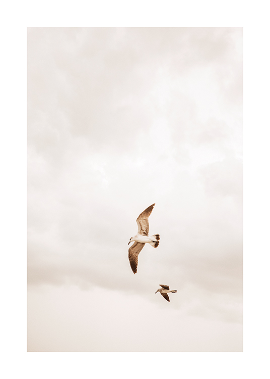  – En bild av två fåglar som flyger på en molnig himmel