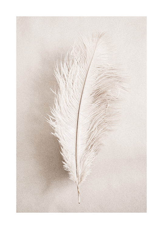  – Ett fotografi av en ensam vit fjäder