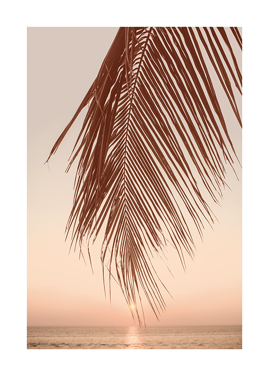  – En bild av ett palmblad på en strand i solnedgång