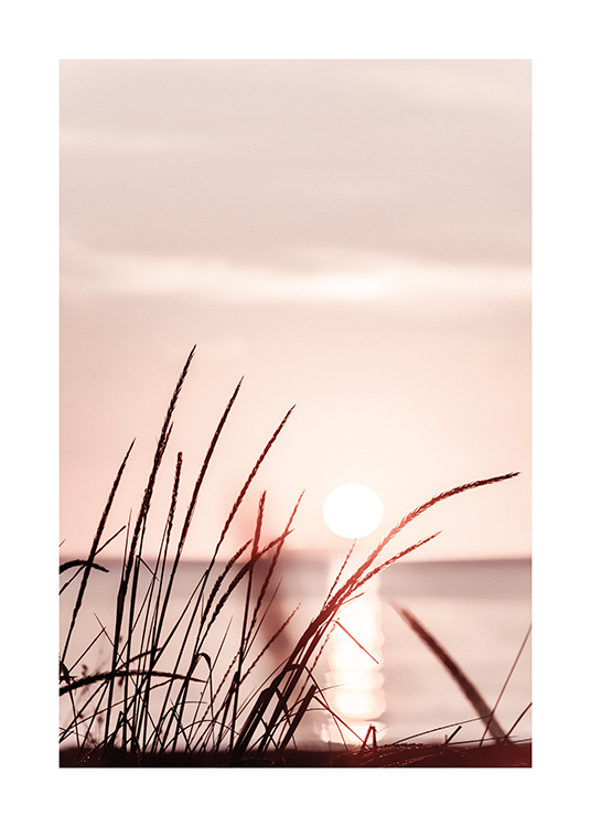  – Fotografi av gräs framför en pastellrosa himmel vid solnedgången