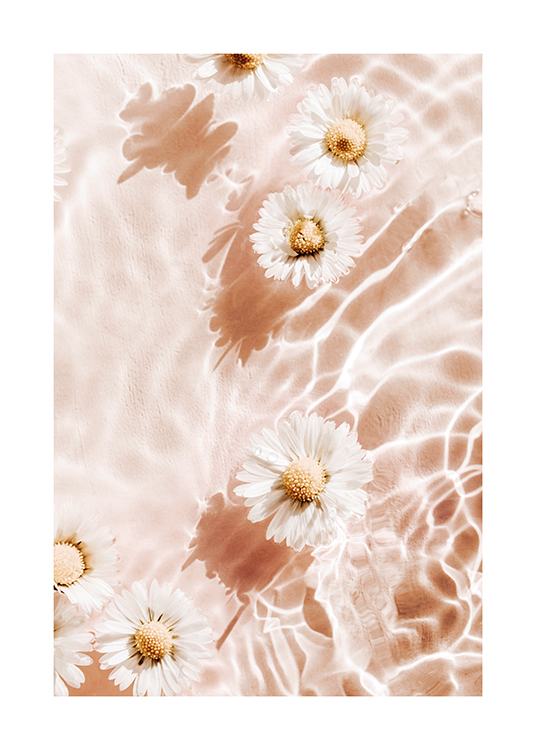  – Fotografi av några vita blommor som flyter i vatten med en ljusrosa bakgrund