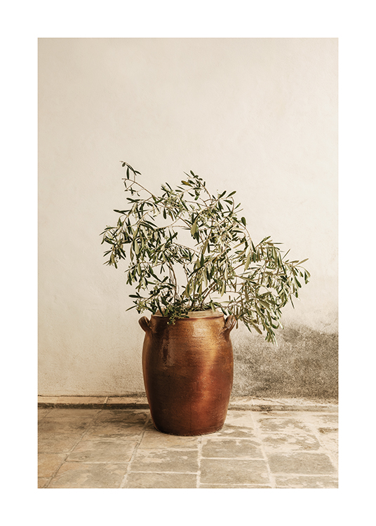  – Olivkvistar enkelt ställda i en vas