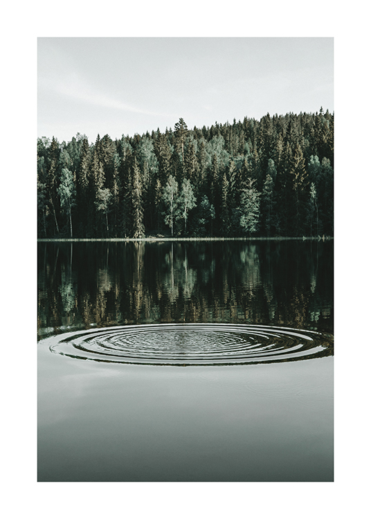  – Fotografi av en sjö med ringar på vattnet och en skog bakom sjön