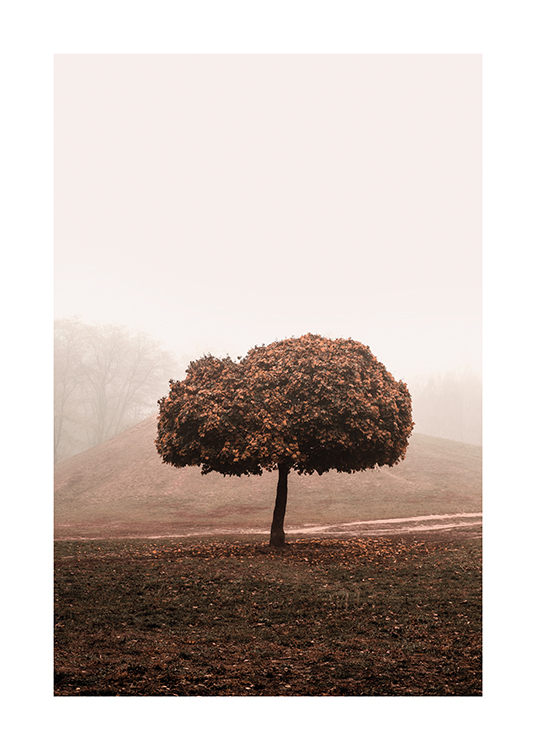  – Fotografi av ett dimmigt fält med ett träd i mitten med en stor trädkrona