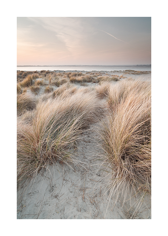  – Fotografi av sanddyner med gräs på och en pastellhimmel och hav i bakgrunden
