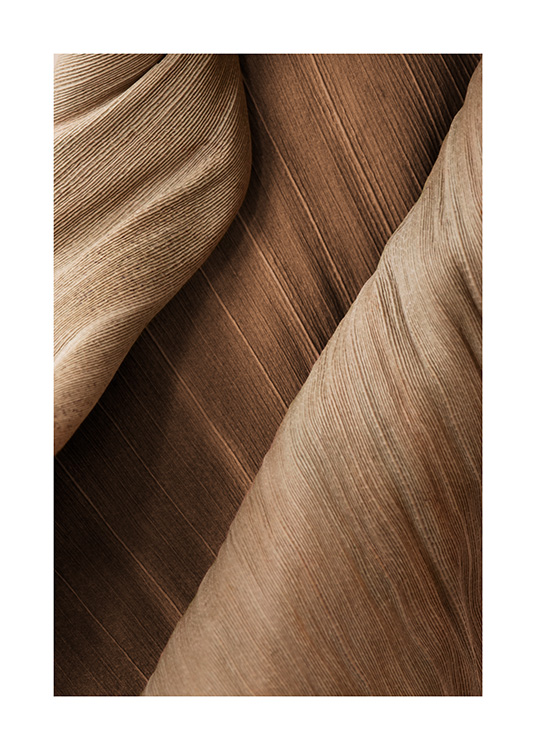 – Ett fotografi med närbild av ett torkat, brunt löv med tydliga linjer