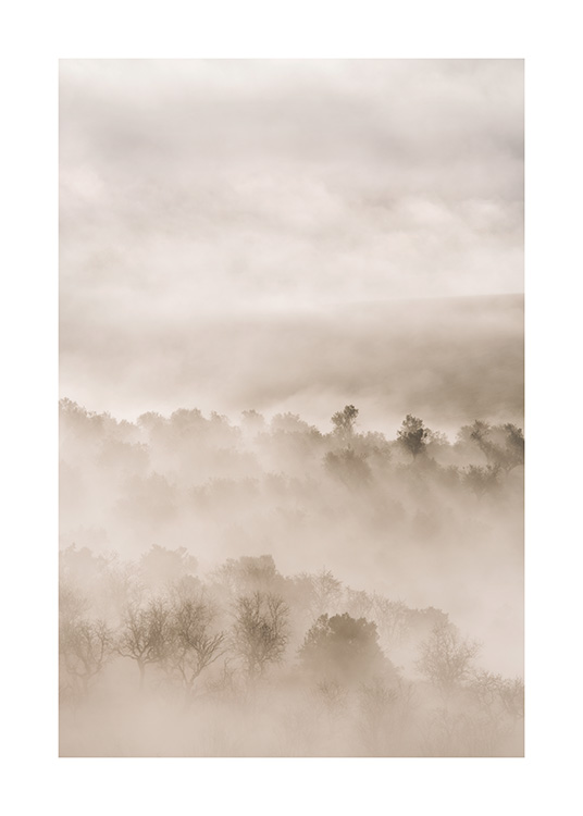 – Ett fotografi av ett dimmigt landskap med träd i beige färger