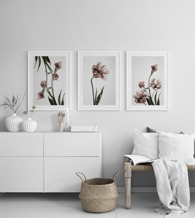  – Fotografi av ett fång rosa tulpaner i full blom mot en grå bakgrund