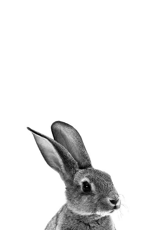 Grey Bunny Poster / Barntavlor hos Desenio AB (2302)