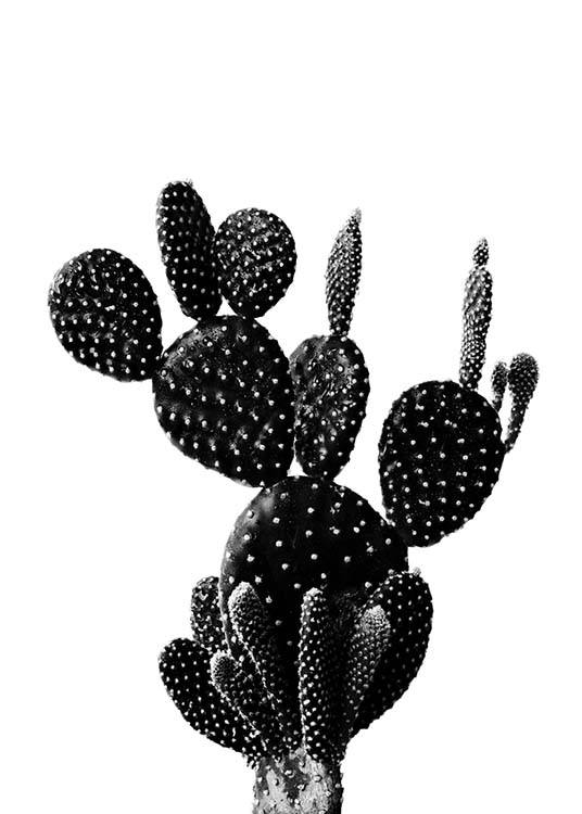 Black Cactus One Poster / Svartvita hos Desenio AB (2429)
