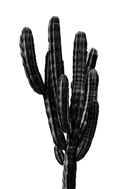 Black Cactus Three Poster / Svartvita hos Desenio AB (2431)