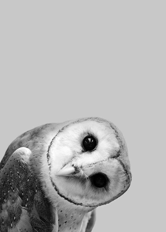 Owl Peekaboo Poster / Barntavlor hos Desenio AB (2573)