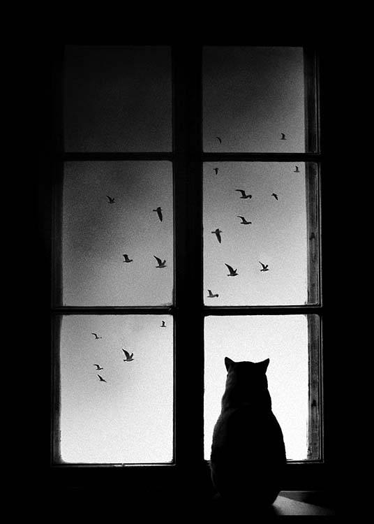 Cat In Window Poster / Svartvita hos Desenio AB (2675)