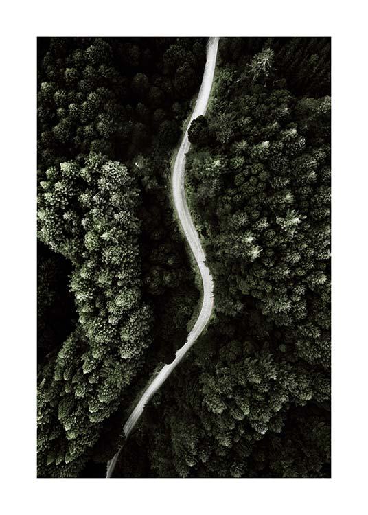 Forest Above Poster / Naturmotiv hos Desenio AB (2713)