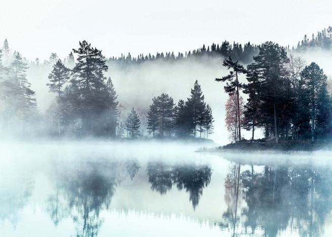 Foggy Lake Poster / Naturmotiv hos Desenio AB (2720)