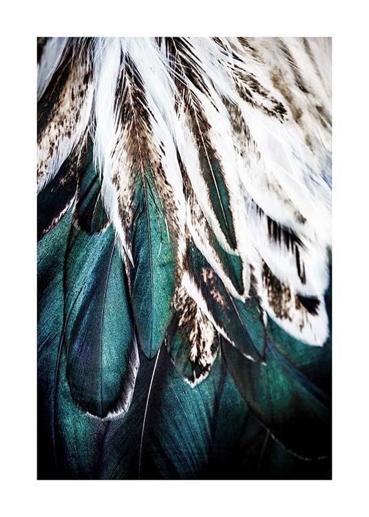 Green Feathers Poster / Fotokonst hos Desenio AB (2732)
