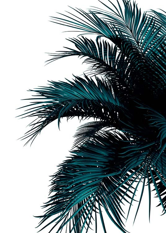 Green Palm Tree Poster / Botaniska hos Desenio AB (2907)