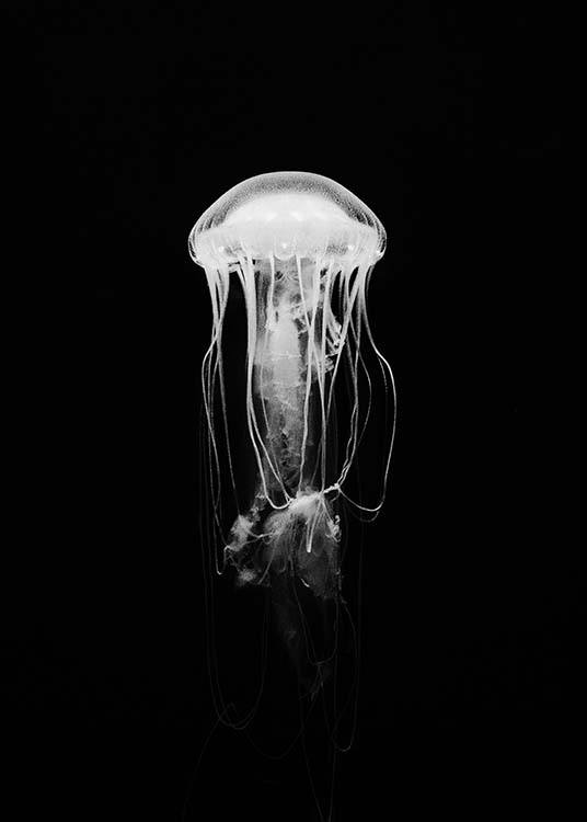 Jellyfish B&W Poster / Svartvita hos Desenio AB (2917)