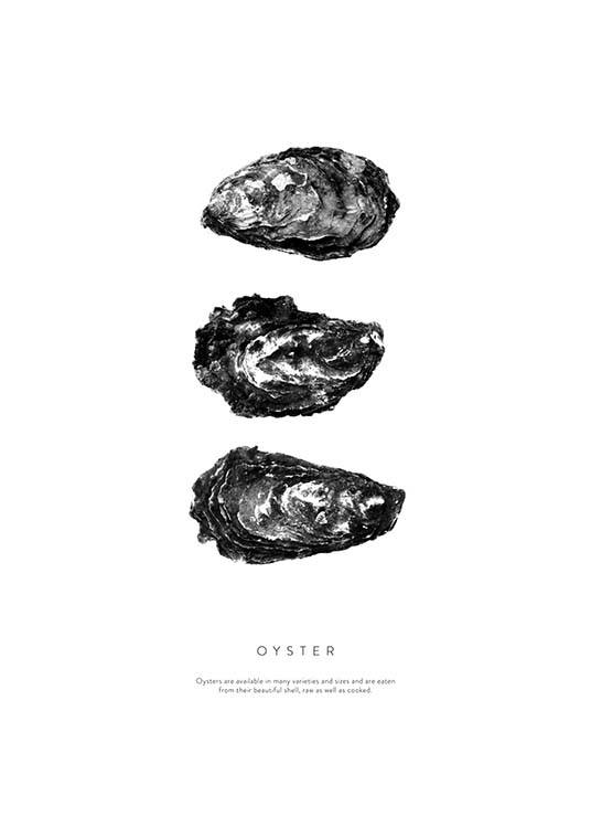 Oyster Three Poster / Svartvita hos Desenio AB (3165)