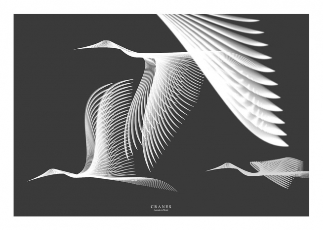 Cranes In Moiré Poster / Djur hos Desenio AB (3223)