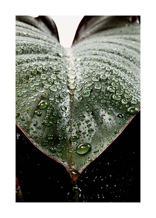 Wet Rubber Leaf Two Poster / Fotokonst hos Desenio AB (3336)