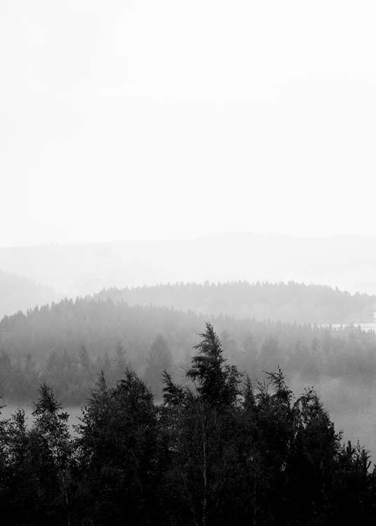 Foggy Woods B&W Poster