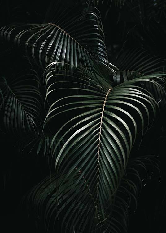 Dark Green Palm Leaves No1 Poster