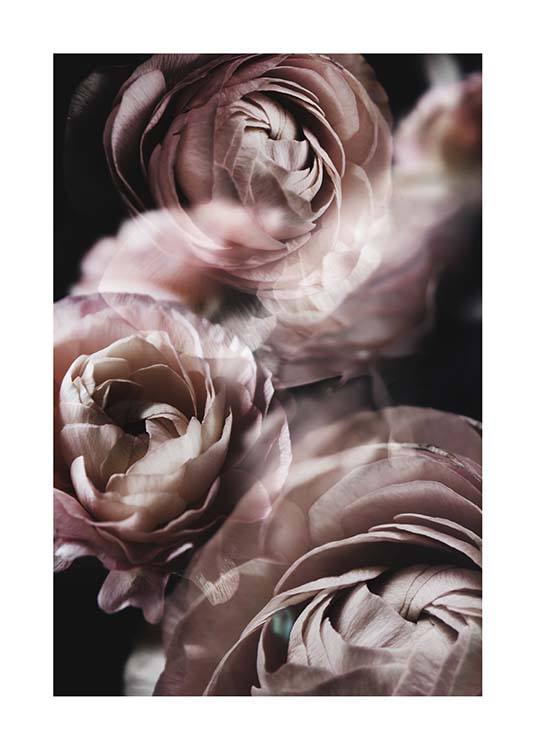 Fairy Tale Flower No2 Poster / Fotokonst hos Desenio AB (3920)