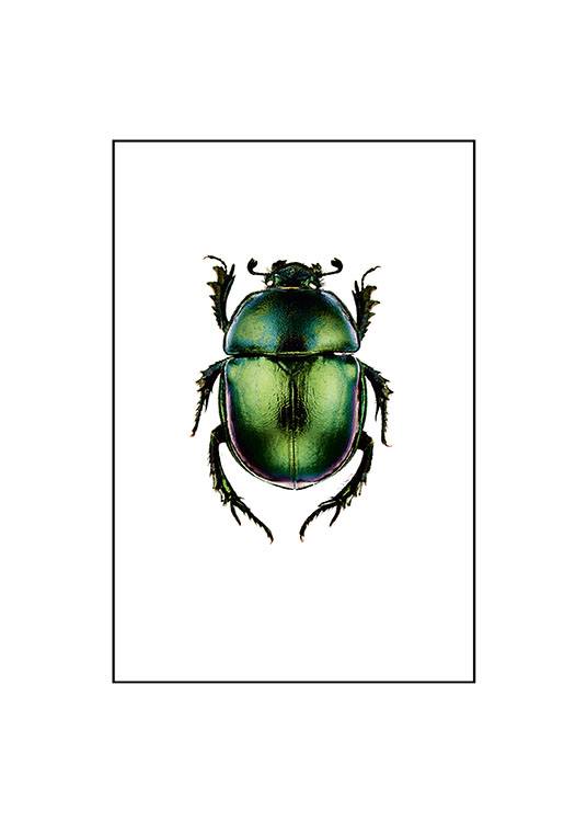 Beetle Small Poster / Retro & vintage hos Desenio AB (7430)