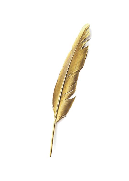 Gold Feather Poster / Texttavlor hos Desenio AB (7605)