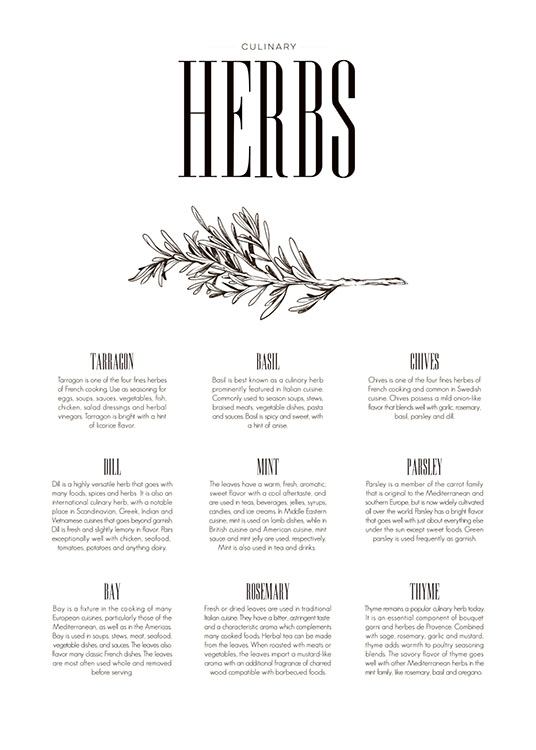 Herbs Type Poster / Kökstavlor hos Desenio AB (7849)