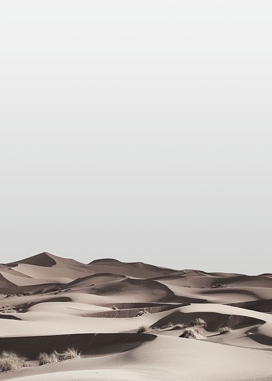 Desert Poster