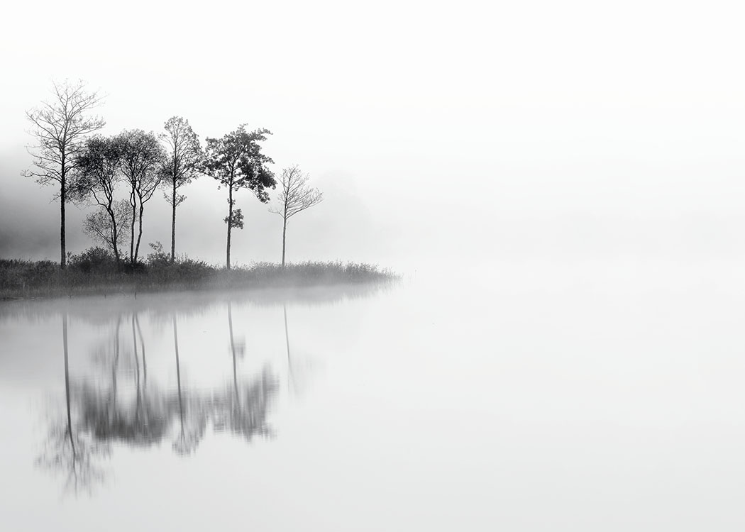 Lake And Trees Poster