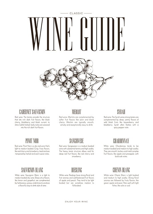 Wine Guide Poster / Kökstavlor hos Desenio AB (8228)