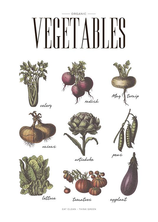 Vegetables Poster / Kökstavlor hos Desenio AB (8229)