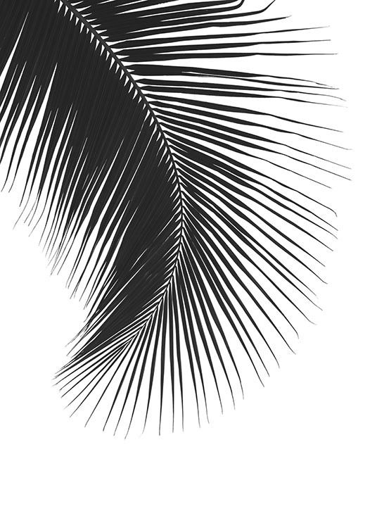 Black Palm Leaf Poster / Svartvita hos Desenio AB (8242)