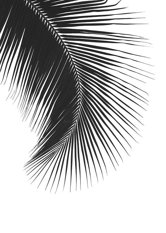 Black Palm Leaf Poster