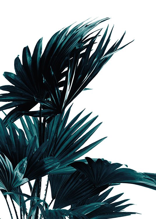 Palm Leaves Poster / Botaniska hos Desenio AB (8318)
