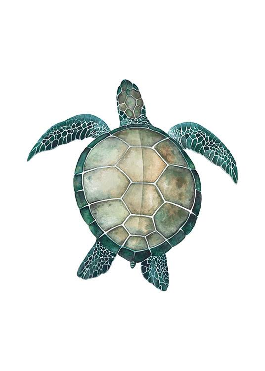 Sea Turtle Poster