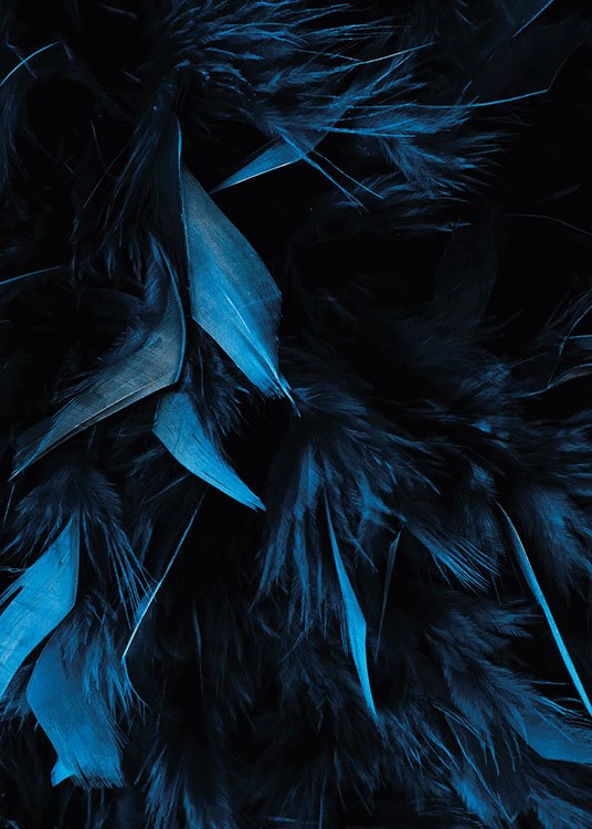 Blue Feathers Poster / Fotokonst hos Desenio AB (8483)