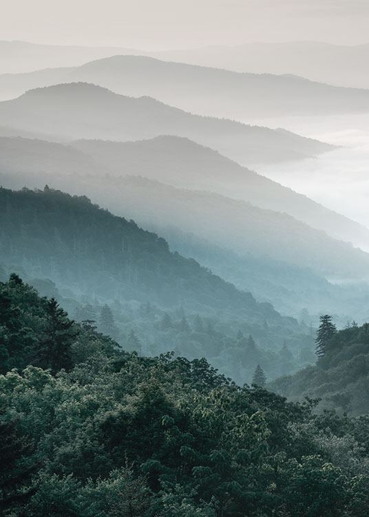  – Fotografi av landskap med skog på berg med dimma i bakgrunden