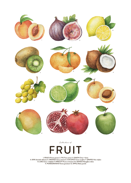 Fruit Poster