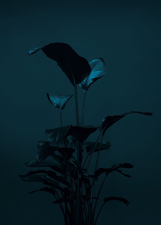 Black Plant Poster / Fotokonst hos Desenio AB (8619)