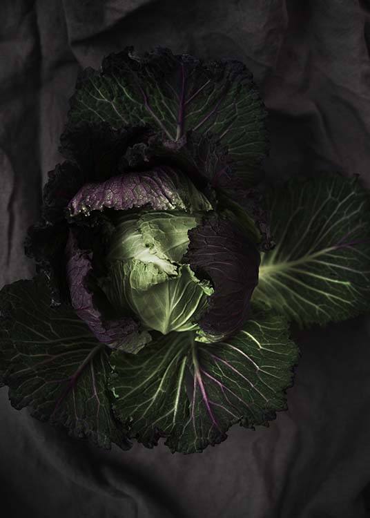 Cabbage Poster / Fotokonst hos Desenio AB (8847)