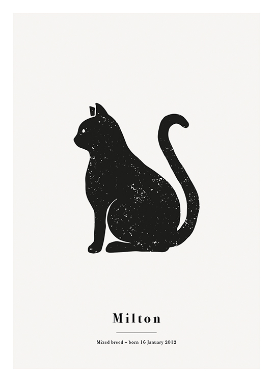  – Katt i svart med vita fläckar mot en ljusgrå bakgrund och text nedtill