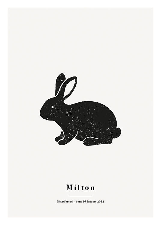  – Svart kanin med vita fläckar på en ljusgrå bakgrund och text nedtill