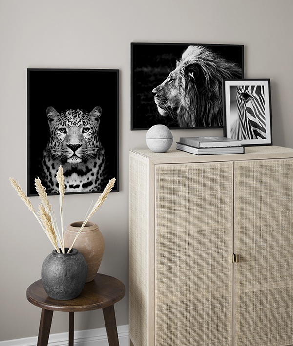 Svartvita djurposters, inspiration safariposters