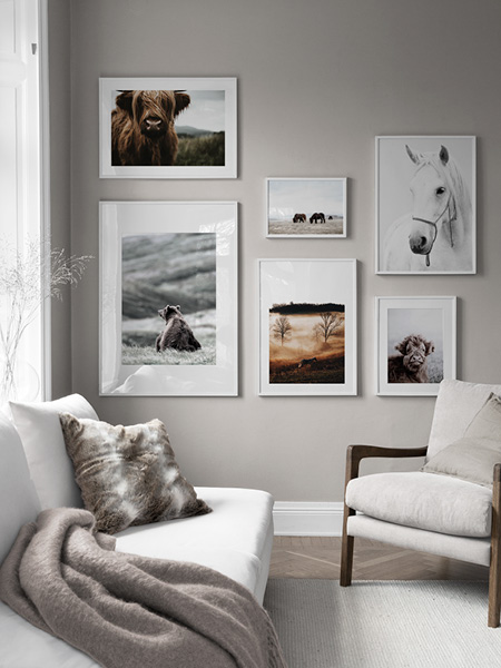 Djurposters från Desenio.